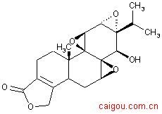 现货triptolide(pg490,triptolid)/雷公藤甲素 immunosuppressant 99%