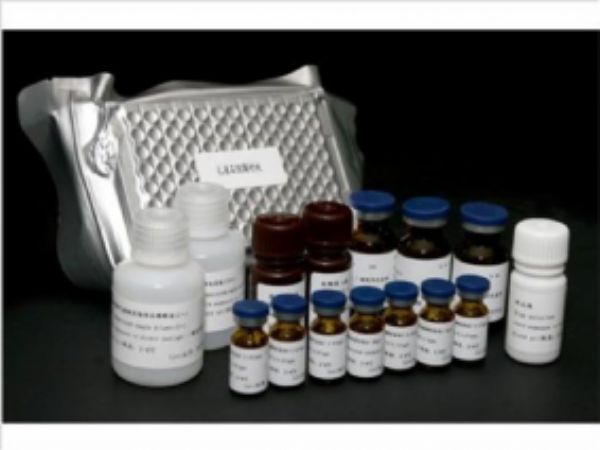 豚鼠晚期糖基化终末产物(AGEs)ELISA试剂盒