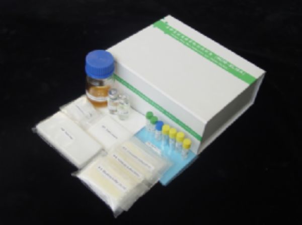 人血管生成素受体Tie2(ANG-R-Tie2)ELISA试剂盒