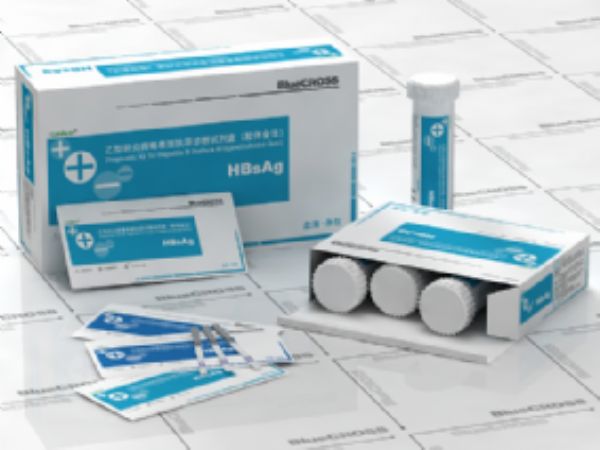 兔抗人多克隆抗体 brca1
