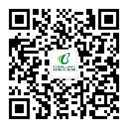 中国人民大学附属中学校领导莅临川布兰参观指导 中国人民大学附属中学校领导莅临川布兰参观指导