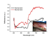 利用高光谱成像评估皮肤烧伤深度