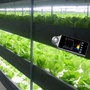HP330P植物光照分析仪（2023款）功能介绍