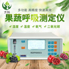 新型果蔬呼吸测定仪FK-GH20