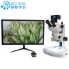 XTL-8050T-900HK动植物病害生物解剖显微镜专业工业电子维修珠宝