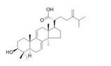 二氢齿孔酸，脱氢齿孔酸，去氢依布里酸  6879-05-6