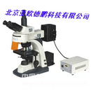 荧光显微镜（四色激发）/显微镜