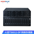 火蓝（Hoodblue）TS6012-DP万兆光纤NAS网络存储器国产化塔式磁盘阵列存储服务器 TS6012-DP-96TB
