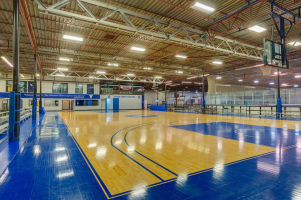 cba运动木地板|盘点NBA球队木地板彩绘风格及实际应用——篮网篇