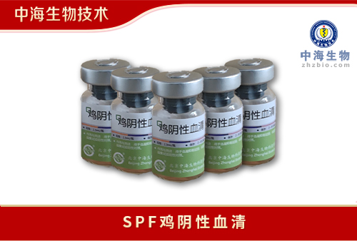 SPF雞陰性血清中海生物技術
