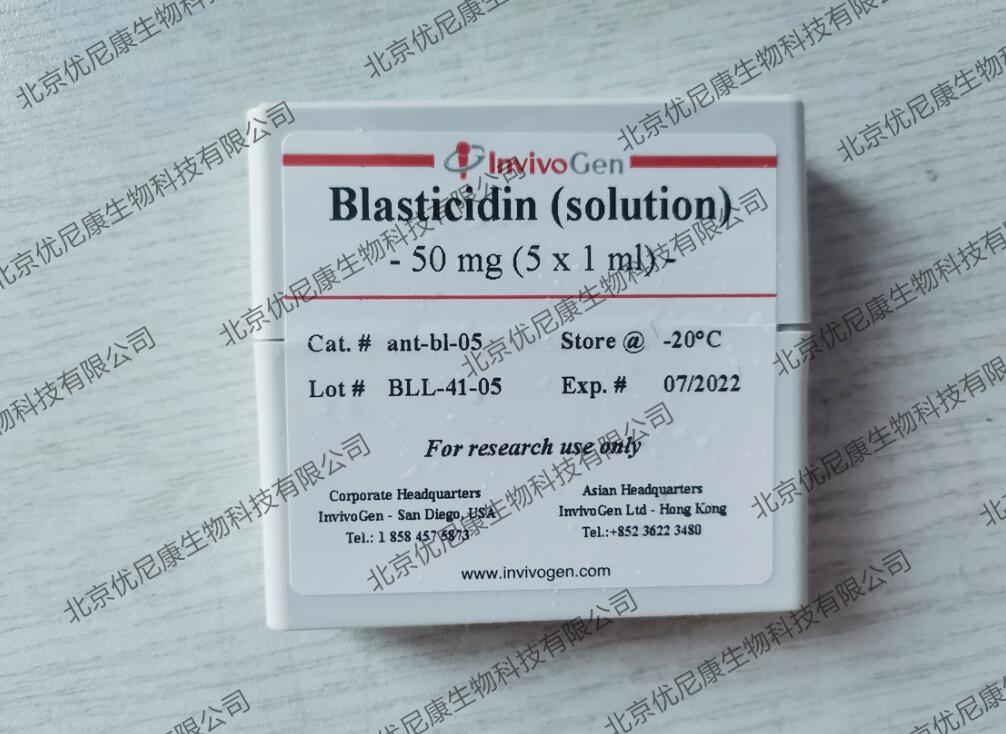 Invivogen Blasticidin (solution)ant-bl-1