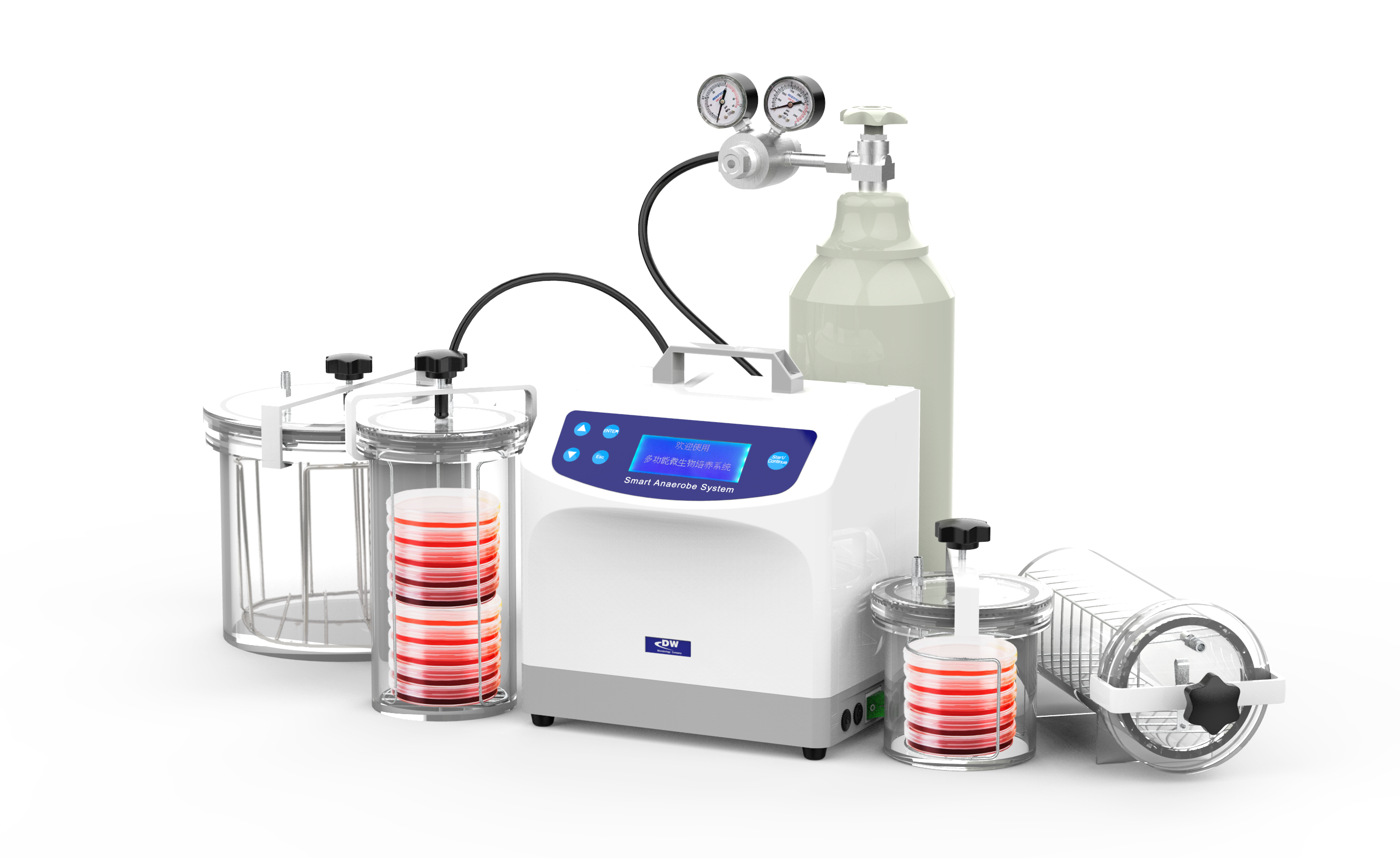 DW-100A-K型 智能厭氧微生物培養系統