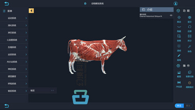 幻境科技VR虚拟现实动物解剖vr软件 畜牧养殖VR虚拟