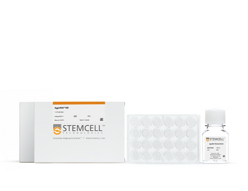 Stemcell AggreWell?400 34415