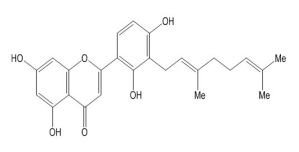 3'-牻牛儿基-5,7,2',4'-四羟基黄酮