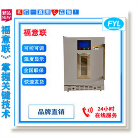 鋰電池測試恒溫箱FYL-YS-1028L大規格恒溫柜