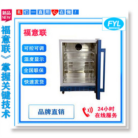 病理科烤箱病理科用烤箱病理科用干燥箱FYL-YS-431L