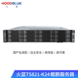 火蓝(Hoodblue)TS821-K24国产信创自主可控火蓝鲲鹏服务器边缘计算2U机架式单路智能K920 16G/240G+2*4T