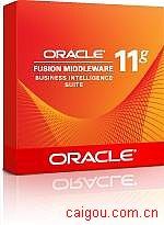 oracle11g企业版 25用户