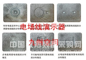 海南大学采购电场线演示器|已发货