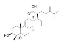 二氫齒孔酸，脫氫齒孔酸，去氫依布里酸  6879-05-6