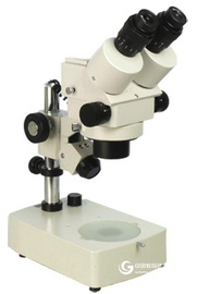 体视显微镜