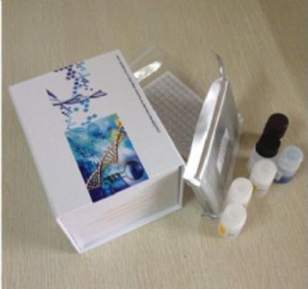 大鼠尿激酶型纤溶酶原激活物受体(PLAUR/uPAR)ELISA试剂盒