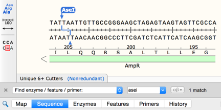 SnapGene——酶、特征或引物的查询