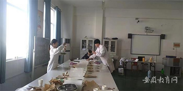 亳州中药科技学校在安徽省职业院校技能大赛中获奖