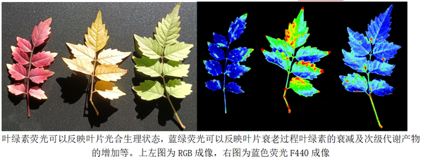 易科泰2022年度“科学摄影”比赛作品展示