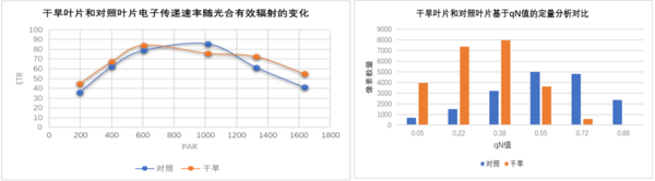 易科泰模块式表型系统在四川省农业科学院水稻高粱研究所安装运行