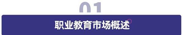 多鲸行研 | 2022 中国职业教育行业报告（上）