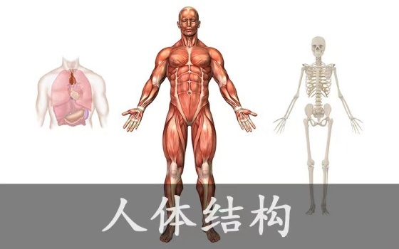 嘉蓮VR教育：超越想象！觸手可及的沉浸式VR教育！
