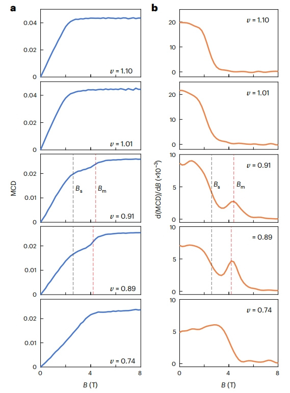 自旋极化子直接观测！无液氦磁体恒温器助力一篇Nature Physics