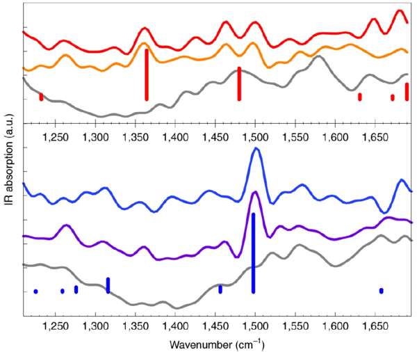 nano-FTIR：攻克無損化學檢測科研難題 實現高分子材料納米無損研究