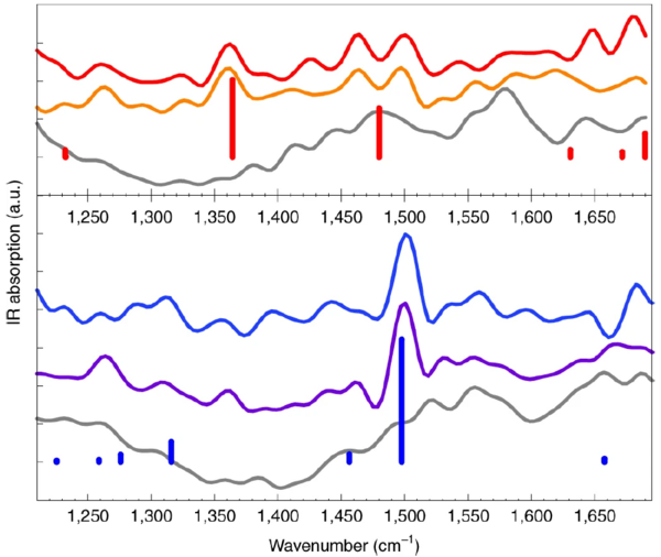 nano-FTIR：攻克无损化学检测科研难题 实现高分子材料纳米无损研究