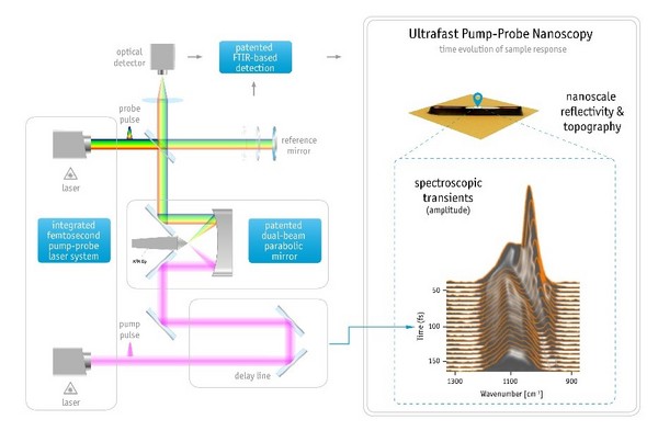發了Nature又發Science！全新一代10 nm空間分辨超快光譜和成像系統助力突破前沿科學