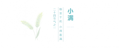 天鵝湖畔少兒芭蕾多校區集中亮相長三角：物至于此，小得盈滿