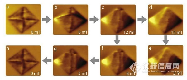 低温强磁场磁力显微镜与共聚焦显微镜在微结构缺陷研究中的科研成果