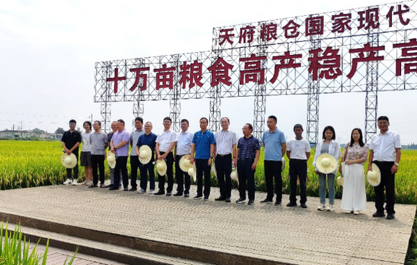 雅安市科協系統考察四川農業大學“四川重大和特色水稻品種推廣和應用”情況