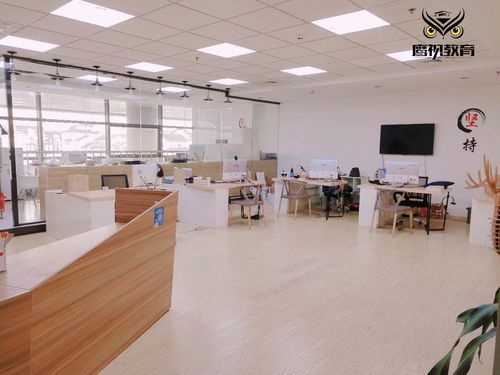 鷹視教育：為每位自考學員進行備考計劃梳理