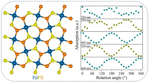 二维材料PdPS线性二色性转换特性研究