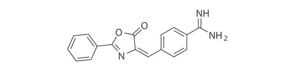 新型抗腫瘤分子熱門推薦 | MedChemExpress