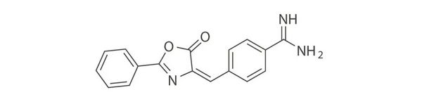 新型抗肿瘤分子热门推荐 | MedChemExpress