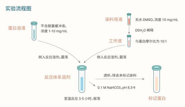 Cyanine 染料 | MedChemExpress