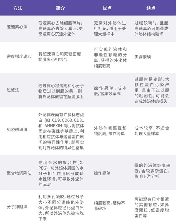 外泌體介紹 - MedChemExpress