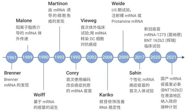 引人關注的核酸產業園 | mRNA 疫苗究竟是？- MedChemExpress