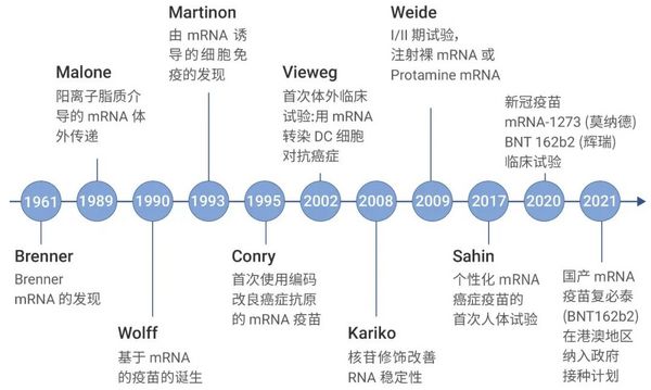 引人关注的核酸产业园 | mRNA 疫苗究竟是？- MedChemExpress