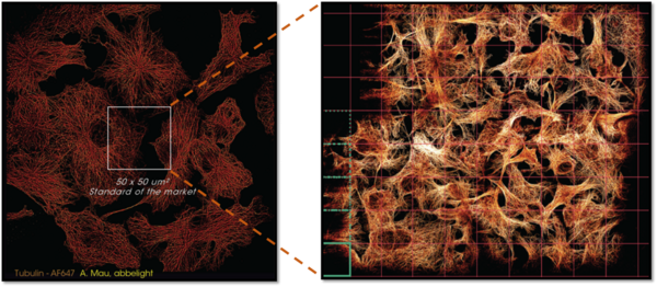 显微镜界的“黑科技”：3D超分辨成像系统
