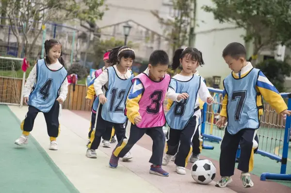 優化教育裝備，共筑樸美樂園| 龍灣八幼迎接溫州市教育裝備達標園創建評估驗收
